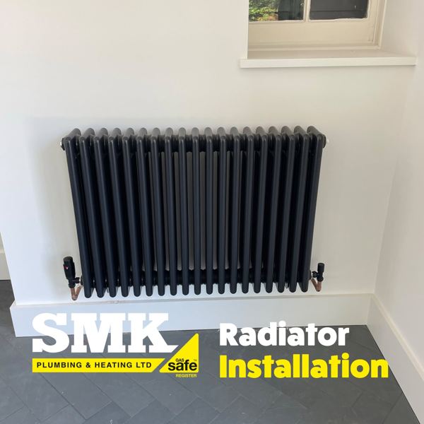 Anthracite column radiator in a white room
