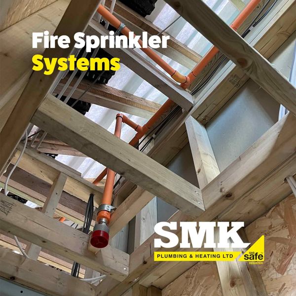 Sprinkler pipework and a red sprinkler head in a timber roof frame